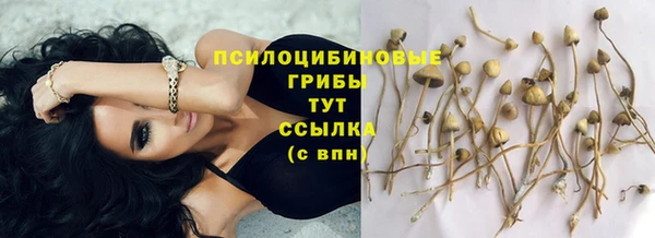 ПСИЛОЦИБИНОВЫЕ ГРИБЫ Лабытнанги