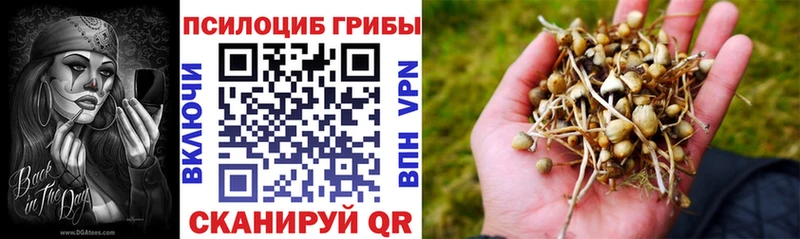 blacksprut вход  Мглин  Псилоцибиновые грибы GOLDEN TEACHER  где можно купить наркотик 
